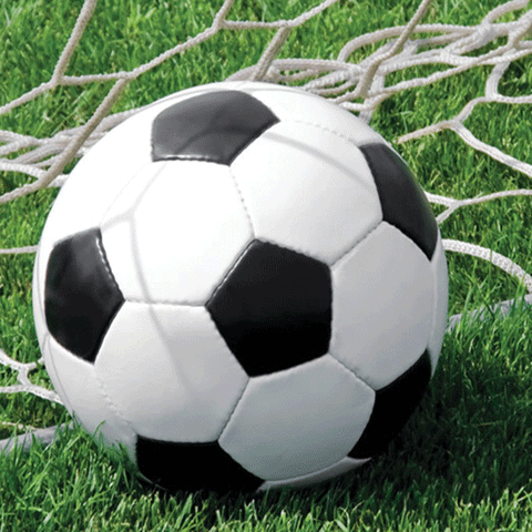 Soccer Fanatic Lunch Napkins