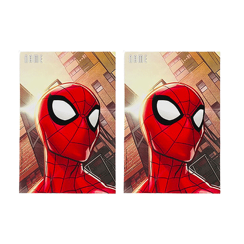 Spiderman's Superhero Bag