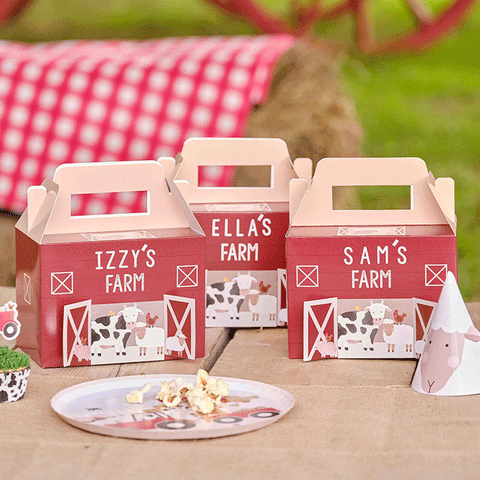 Barnyard Buddies Personalised Party Box